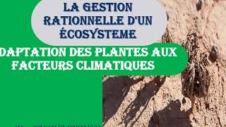 ADAPTATION DES PLANTES AUX FACTEURS CLIMATIQUES [upl. by Ahsiemal273]