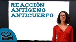 Reacción antígeno anticuerpo [upl. by Amor]