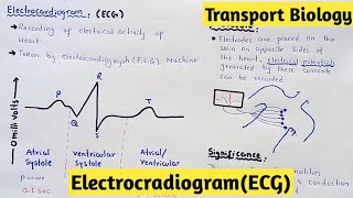 Electrocardiogram  ECG  11 Class Biology [upl. by Anesusa]