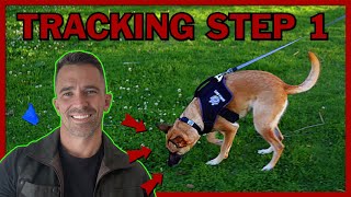 The First Step to Teach Your Dog Competitive Tracking [upl. by Durward342]