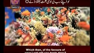 Surah Ar Rehman n° 55 Urdu amp English Translate By Qtv [upl. by Hilly879]