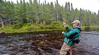 Steelhead amp Salmon on a Fly  How To [upl. by Tyree]