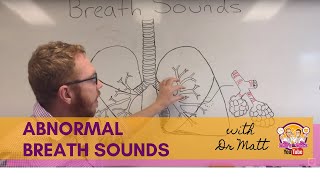 Abnormal Breath Sounds  Respiratory System [upl. by Matless]