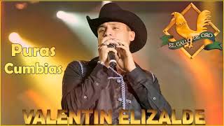 Valentin Elizalde Puras Cumbias  20 Mejor Exitos [upl. by Kelila]