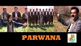 Parwana  Kurdish Music Halparke [upl. by Normandy706]