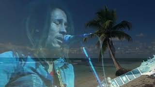 Bob Marley  Turn Your Lights Down Low [upl. by Htenay]