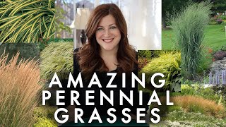 10 Perennial Grasses I Absolutely Love 🌾💚 Garden Answer [upl. by Shiroma]