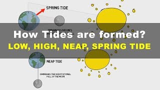 How Tides are Formed  Low High Neap Spring Tide  Geography UPSC IAS [upl. by Lilybelle]