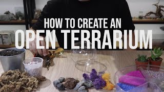 How to build an Open Succulent Terrarium [upl. by Sidonie880]