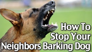 How To Stop Your Neighbor’s Dog From Barking  Short Version [upl. by Eirot]