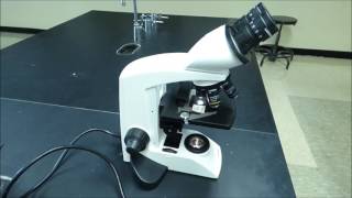 Compound Microscope Tutorial  Boston University Biology [upl. by Eelrehpotsirhc]