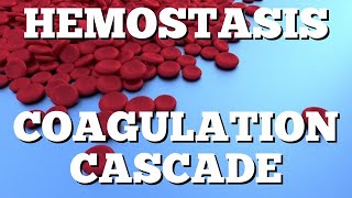 Secondary Hemostasis Coagulation Cascade Animation Made Easy [upl. by Ellene]