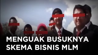 Apakah Skema Bisnis MLM itu PENIPUAN [upl. by Francyne]