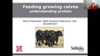 Understanding protein needs of growing calves [upl. by Llerref291]