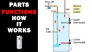 How an Electric Water Heater Works [upl. by Leipzig]