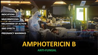 Amphotericin B  Antifungal  Black Fungus drpharma [upl. by Vincenty]