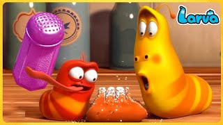 Larva Full Episode  1 Hour Compilation 🍟 Cartoons  Comedy  Comics 🥟 New Animation Movies 2022 [upl. by Einnov]