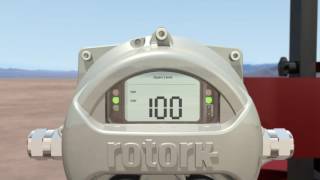 Rotork ELB with GasOverOil Actuators [upl. by O'Connell824]