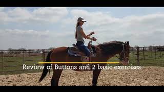 Adult Beginner Western Riding Lessons  Button review and Control exercises [upl. by Jenkel]