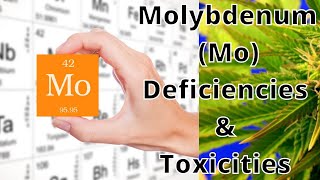 Molybdenum Mo  Deficiencies amp Toxicities in Plants Pt 1 [upl. by Byrom]