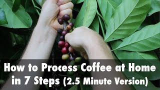 How to Process Coffee at Home in 7 Steps 25 Minute Version [upl. by Carlotta826]