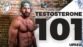 Testosterone 101 How To Increase Testosterone LH and FSH [upl. by Lanna]