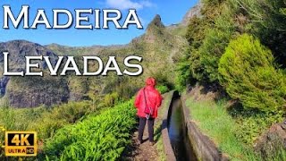 Madeira Levada Walks • 4K [upl. by Rebecka272]