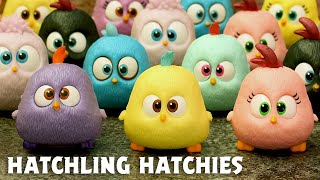 Hatchling Hatchies  Angry Birds [upl. by Attelrahs]