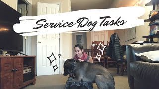 My Service Dog Tasks w demonstrations  Psychiatric and Medical SD [upl. by Wilsey]