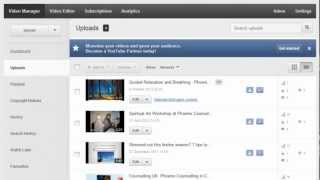 How To Remove a Youtube Interactive Transcript [upl. by Hammel372]