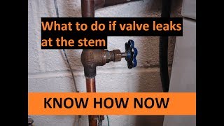 Fix Shut Off Valve Leaking at Stem [upl. by Krid]