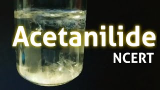 Acetanilide Nphenylacetamide Preparation NCERT guide [upl. by Ahsikyt]