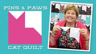 Make an Easy Pins amp Paws Quilt with Jenny Doan of Missouri Star Video Tutorial [upl. by Avan690]