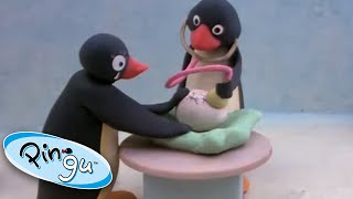 Pinga is Born  Pingu Official  1 Hour  Cartoons for Kids [upl. by Whiney]