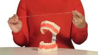 How to Floss Your Teeth [upl. by Oicelem]