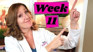 Baby Ultrasound Week 11 Plus Baby Development and Pregnancy Symptoms [upl. by Teteak]