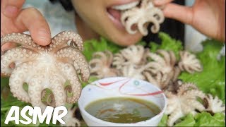 ASMR BABY OCTOPUS CHEWY EATING SOUNDS NO TALKING  SASASMR [upl. by Udell]