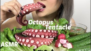 GIANT OCTOPUS TENTACLES NO TALKING ASMR  NE Lets Eat [upl. by Pulchi]