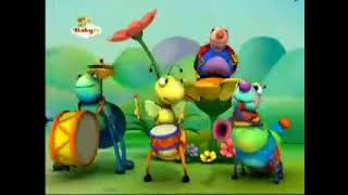 Big Bugs Band  Flute Drums and Music [upl. by Nisen]