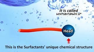 How Laundry Detergent Works SURFACTANTS [upl. by Serafine736]