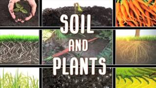 All About soil [upl. by Nawor]