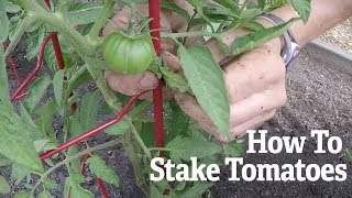 How To Stake Tomato Plants  Gardeners Supply [upl. by Ut]