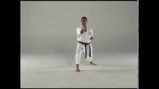 1st Kata  Taigyoku Shodan [upl. by Nodlew955]