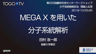 MEGA X を用いた分子系統解析  分子系統樹推定法理論と応用 ワークショップ [upl. by Eleets]