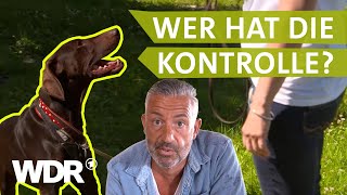 Endlich die Führung übernehmen  Hunde verstehen  S03E01  WDR [upl. by Humble]