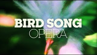 BIRD SONG OPERA [upl. by Lacy671]