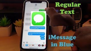 How to Set Up iMessage  Regular Text vs iMessage [upl. by Alicsirp]