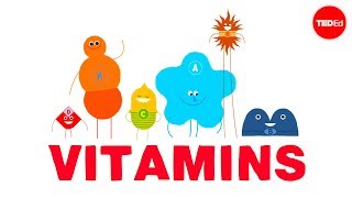 How do vitamins work  Ginnie Trinh Nguyen [upl. by Emie]