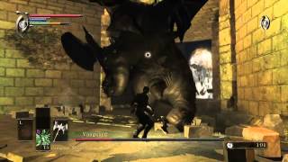 What happens if you kill the Vanguard in the Demons Souls tutorial [upl. by Rebmyt]