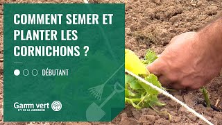 TUTO Comment planter ou semer les cornichons   Jardinerie Gamm vert [upl. by Harbot]